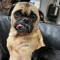 Lucy